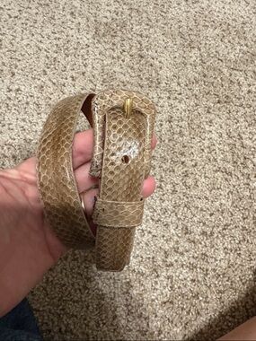 Saks Fifth Avenue Orange Genuine Snakeskin Belt